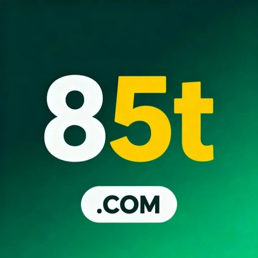 85t.com